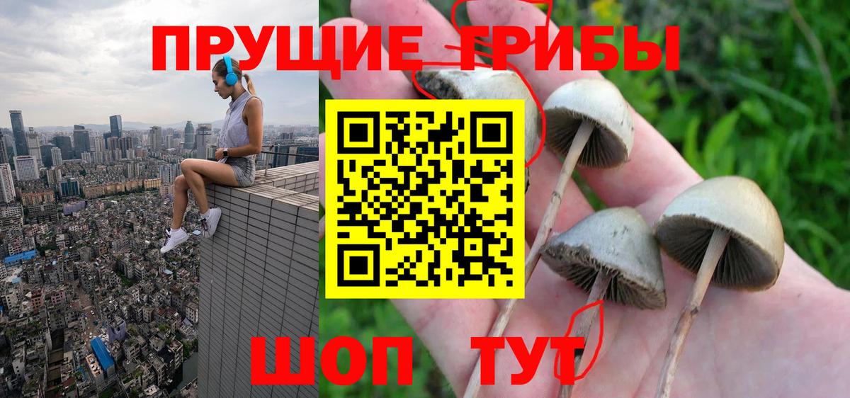 Галлюциногенные грибы Cubensis  Галлюциногенные грибы Magic Shrooms  Черемхово  Вход с VPN 